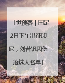 世预赛｜国足2日下午出征印尼，刘若钒因伤落选大名单
