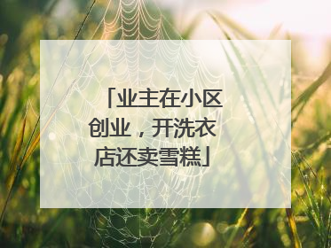 业主在小区创业，开洗衣店还卖雪糕