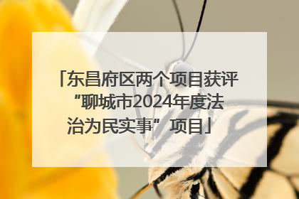 东昌府区两个项目获评“聊城市2024年度法治为民实事”项目