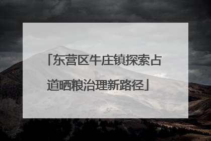 东营区牛庄镇探索占道晒粮治理新路径