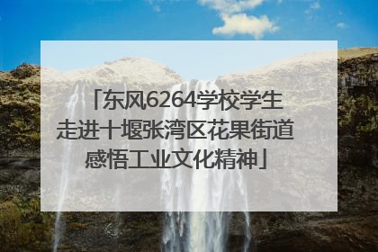 东风6264学校学生走进十堰张湾区花果街道感悟工业文化精神
