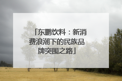 东鹏饮料：新消费浪潮下的民族品牌突围之路