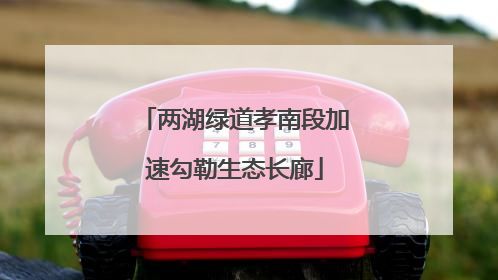 两湖绿道孝南段加速勾勒生态长廊