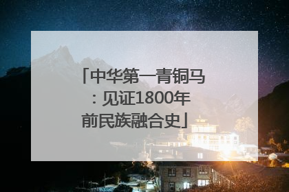 中华第一青铜马：见证1800年前民族融合史