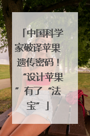 中国科学家破译苹果遗传密码！“设计苹果”有了“法宝”