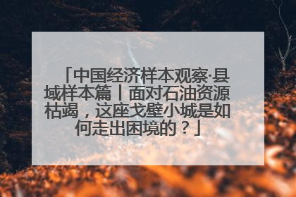 中国经济样本观察·县域样本篇丨面对石油资源枯竭，这座戈壁小城是如何走出困境的？
