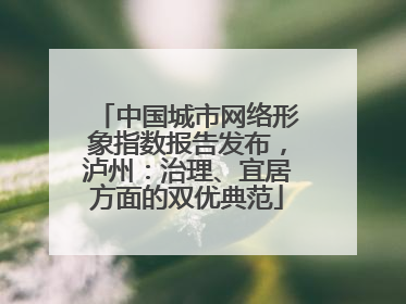 中国城市网络形象指数报告发布，泸州：治理、宜居方面的双优典范