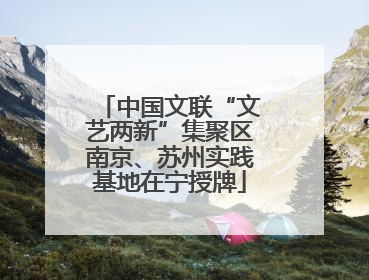 中国文联“文艺两新”集聚区南京、苏州实践基地在宁授牌