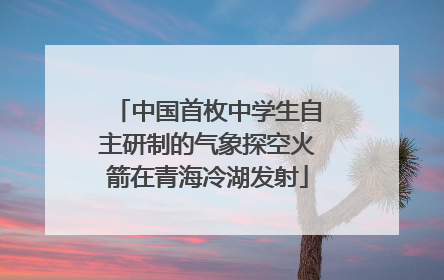 中国首枚中学生自主研制的气象探空火箭在青海冷湖发射