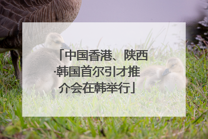 中国香港、陕西·韩国首尔引才推介会在韩举行
