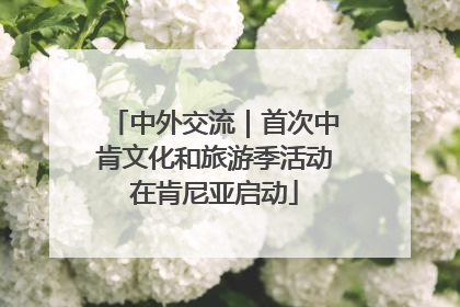 中外交流｜首次中肯文化和旅游季活动在肯尼亚启动