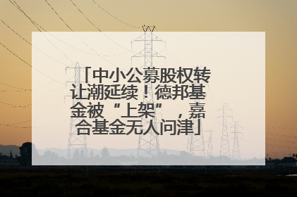中小公募股权转让潮延续！德邦基金被“上架”，嘉合基金无人问津