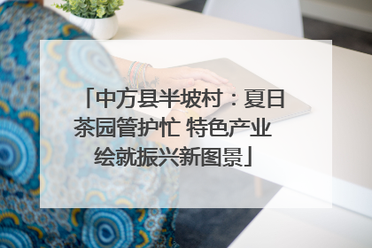 中方县半坡村：夏日茶园管护忙 特色产业绘就振兴新图景