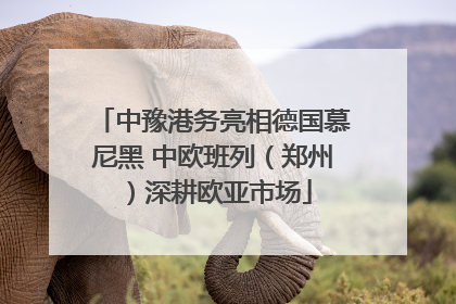 中豫港务亮相德国慕尼黑 中欧班列（郑州）深耕欧亚市场