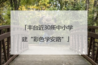 丰台近30所中小学建“彩色学安路”