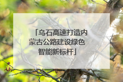 乌石高速打造内蒙古公路建设绿色智能新标杆