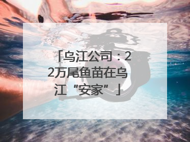 乌江公司：22万尾鱼苗在乌江“安家”