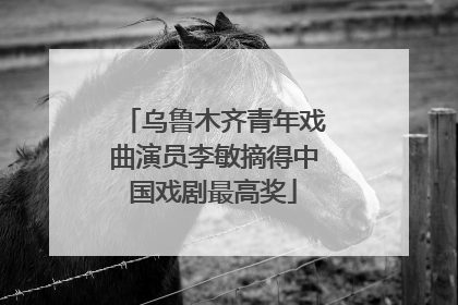 乌鲁木齐青年戏曲演员李敏摘得中国戏剧最高奖