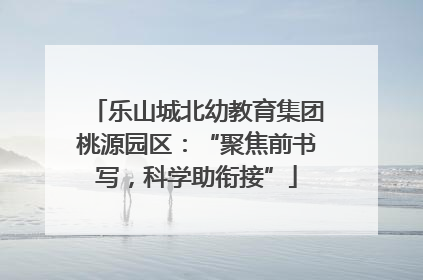 乐山城北幼教育集团桃源园区：“聚焦前书写，科学助衔接”