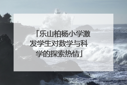 乐山柏杨小学激发学生对数学与科学的探索热情
