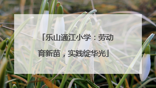 乐山通江小学：劳动育新苗，实践绽华光