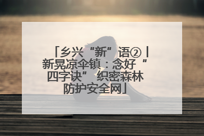 乡兴“新”语②丨新晃凉伞镇：念好“四字诀” 织密森林防护安全网