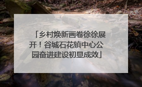 乡村焕新画卷徐徐展开！谷城石花镇中心公园奋进建设初显成效