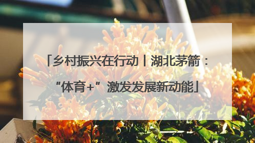 乡村振兴在行动丨湖北茅箭：“体育+”激发发展新动能