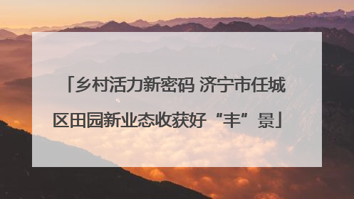 乡村活力新密码 济宁市任城区田园新业态收获好“丰”景