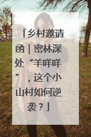 乡村邀请函｜密林深处“羊咩咩”，这个小山村如何逆袭？