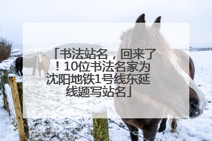 书法站名，回来了！10位书法名家为沈阳地铁1号线东延线题写站名
