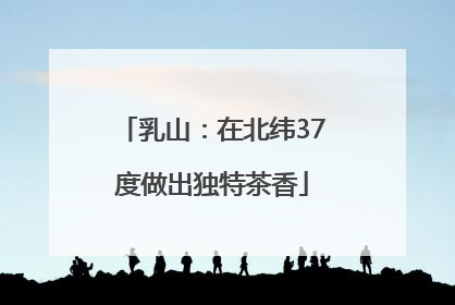 乳山：在北纬37度做出独特茶香