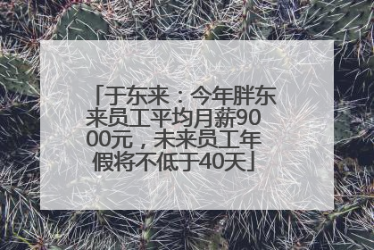 于东来：今年胖东来员工平均月薪9000元，未来员工年假将不低于40天