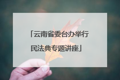 云南省委台办举行民法典专题讲座
