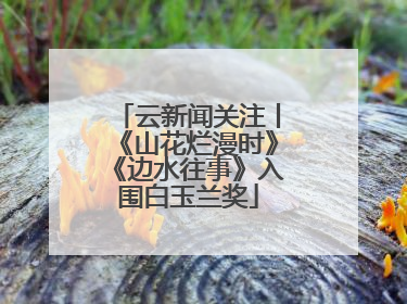 云新闻关注丨《山花烂漫时》《边水往事》入围白玉兰奖