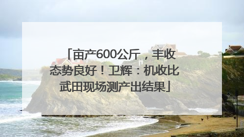 亩产600公斤，丰收态势良好！卫辉：机收比武田现场测产出结果