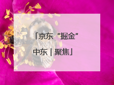 京东“掘金”中东｜聚焦