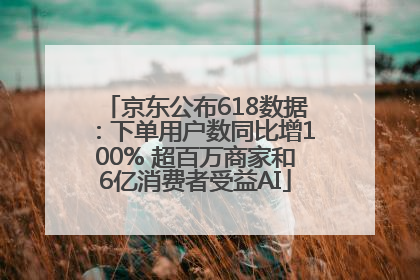 京东公布618数据：下单用户数同比增100% 超百万商家和6亿消费者受益AI