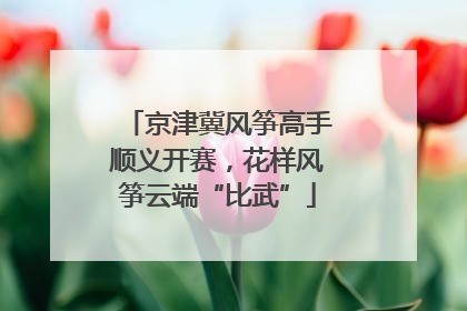 京津冀风筝高手顺义开赛，花样风筝云端“比武”