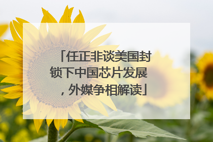 任正非谈美国封锁下中国芯片发展，外媒争相解读