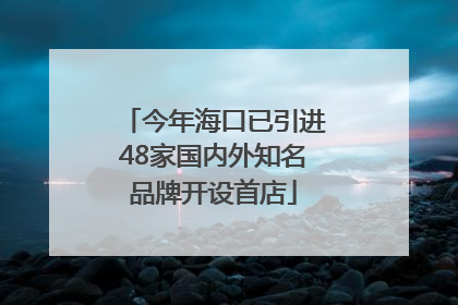 今年海口已引进48家国内外知名品牌开设首店