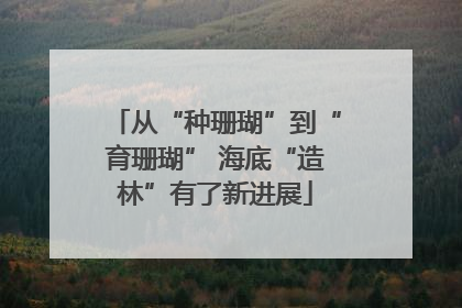 从“种珊瑚”到“育珊瑚” 海底“造林”有了新进展