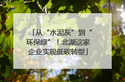 从“水泥灰”到“环保绿”！北湖这家企业实现低碳转型