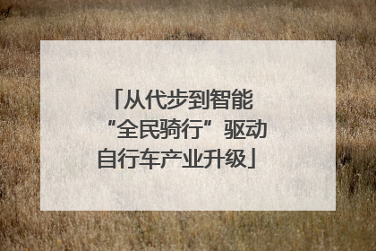 从代步到智能 “全民骑行”驱动自行车产业升级