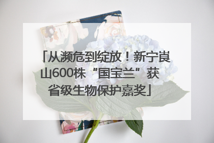 从濒危到绽放！新宁崀山600株“国宝兰”获省级生物保护嘉奖