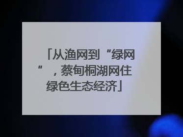 从渔网到“绿网”，蔡甸桐湖网住绿色生态经济