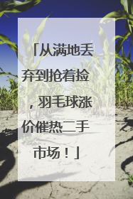 从满地丢弃到抢着捡，羽毛球涨价催热二手市场！