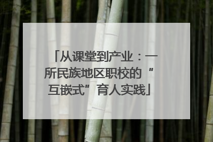 从课堂到产业：一所民族地区职校的“互嵌式”育人实践