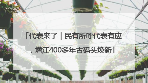 代表来了｜民有所呼代表有应，增江400多年古码头焕新