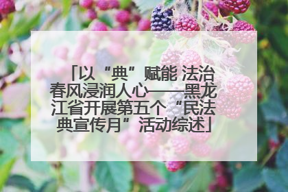 以“典”赋能 法治春风浸润人心——黑龙江省开展第五个“民法典宣传月”活动综述